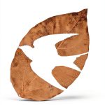 Environmental Kindle eBook by Mariner Books-0